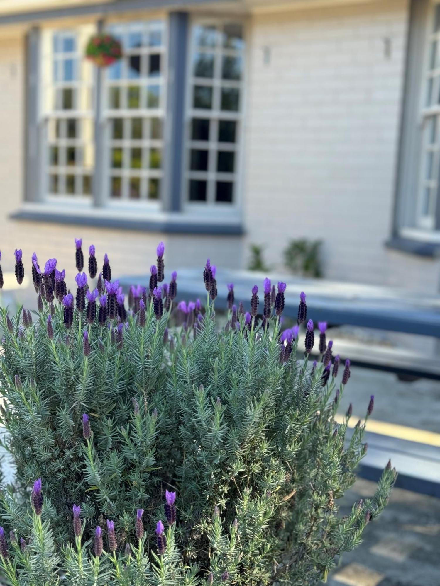 Colonial Terrace Motor Inn Raymond Terrace Εξωτερικό φωτογραφία